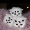 nilynevest